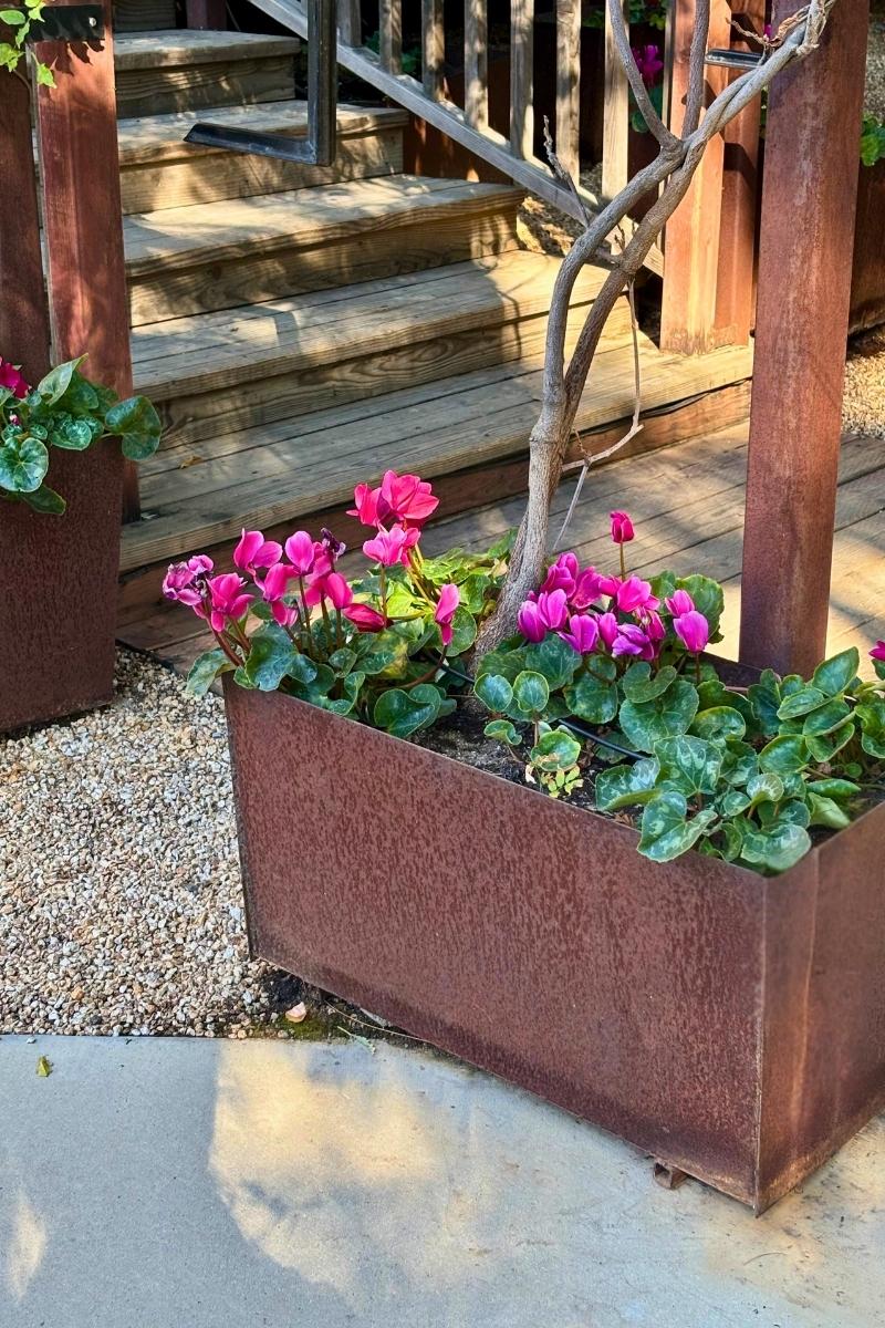 large metal planter pots Architectural Grade Solid Metal Planter Box, Powder Coated Metal Planter, Tall Squared Planters, 18" / 24" / 18"