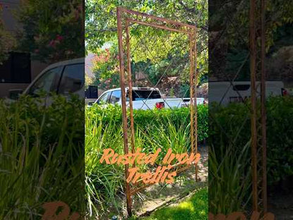 Rusted Trellis For Climbing Plants