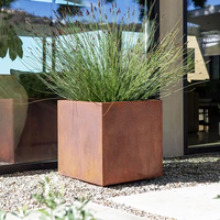 Corten steel planter with grasses in front of a modern building
