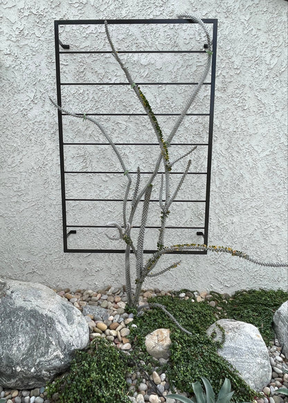 Horizontal Bar Wall Mounted Trellis