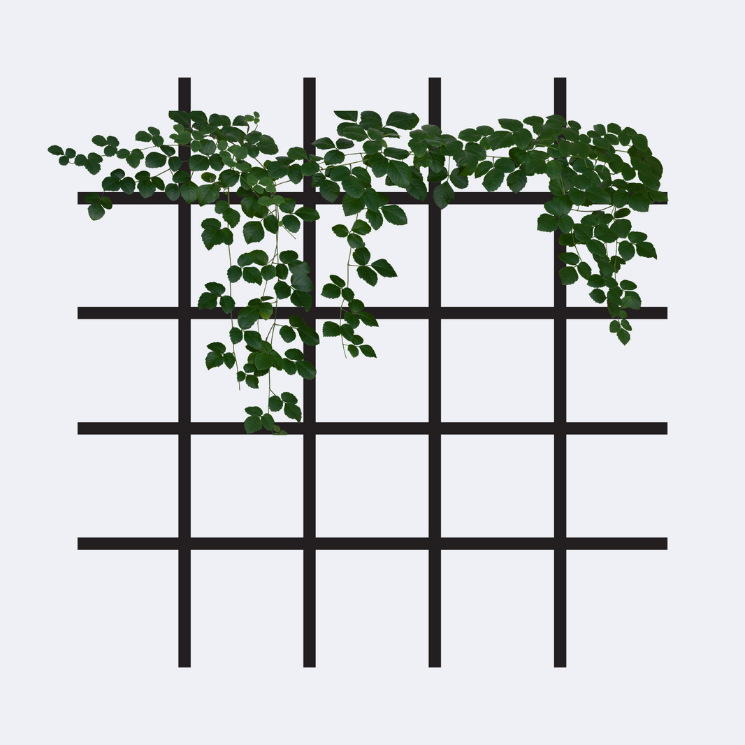 Wall Mounted Metal Garden Trellis - S2N Industries