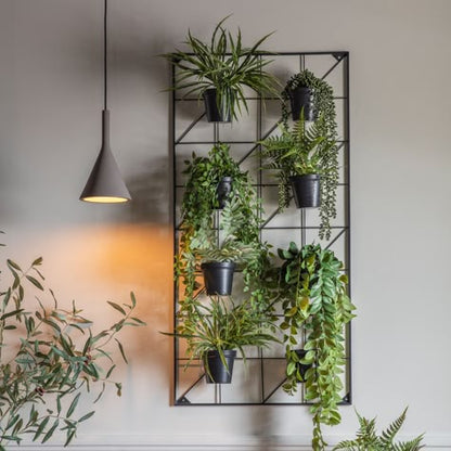 plant frame for hanging plants