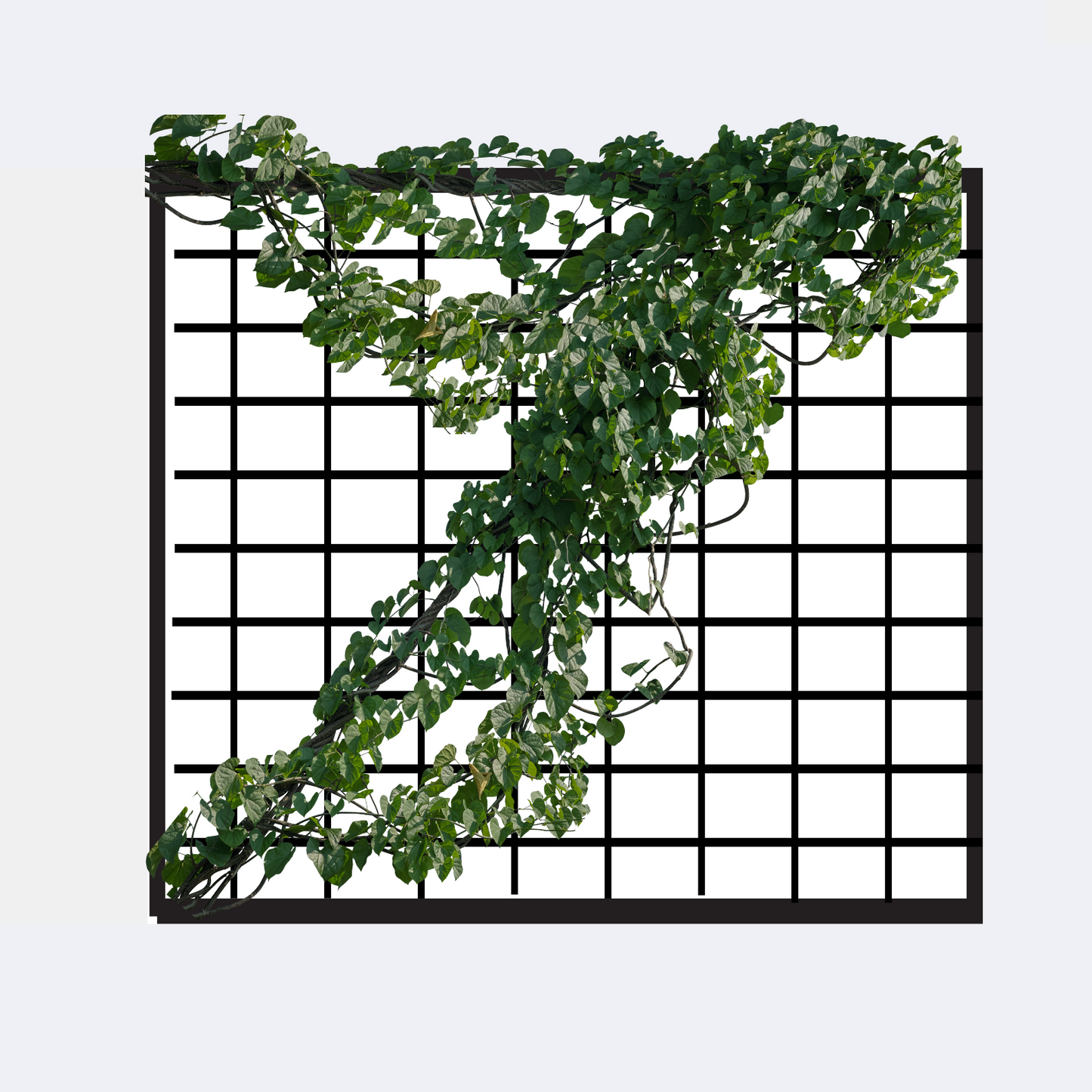 square grid contemporary trellis