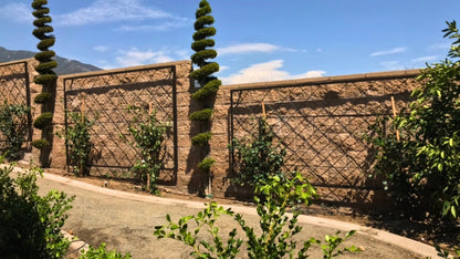 Heavy Gauge Diamond Pattern Stand Alone Trellis