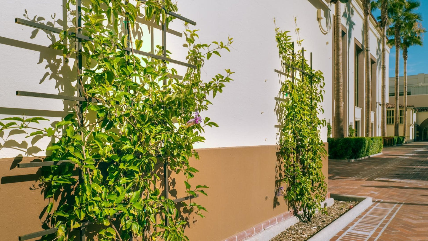 architectural grade trellises  