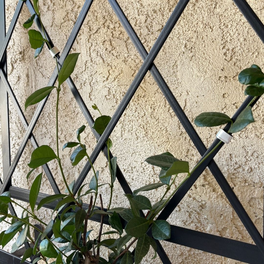 Reusable Aluminum Climbing Plant Training Clips