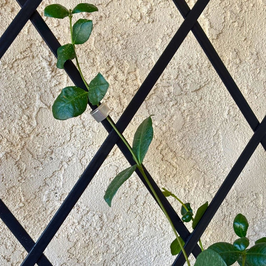 Reusable Aluminum Climbing Plant Training Clips