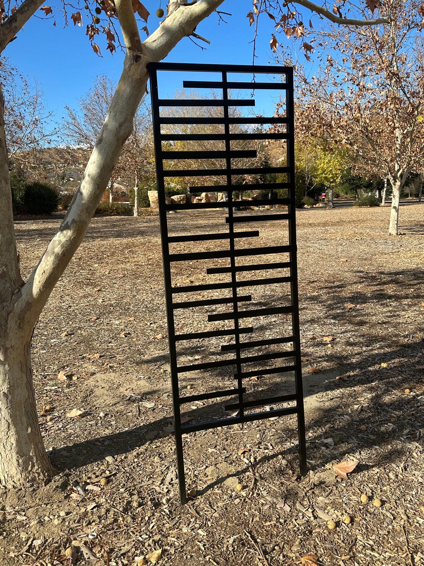 modern garden trellis