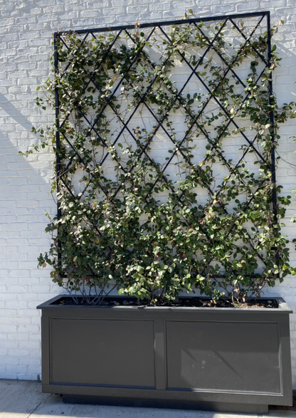 green wall with metal plant support